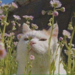 Meet your Posher, Care